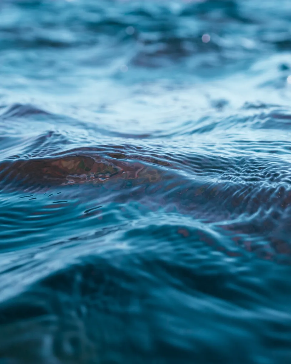 Wasser