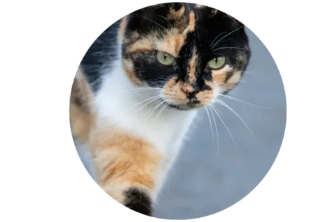 Kitti aus Ramonas Team